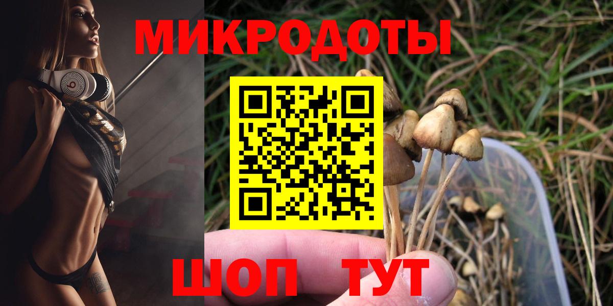 Псилоцибиновые грибы Psilocybe Нарткала